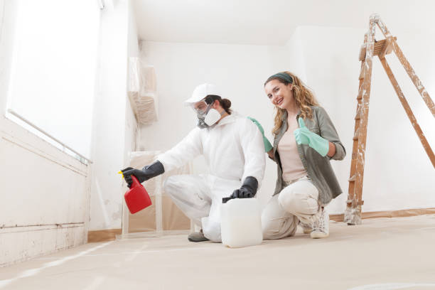 Best Mold Prevention Services  in Cleveland Heights, OH